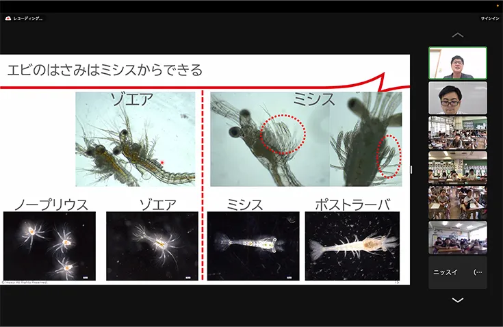 【写真】株式会社ニッスイのオンライン出張授業の様子 