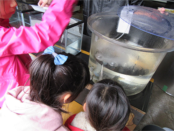 【Picture】Experiencing the Thrill of Studying Fish