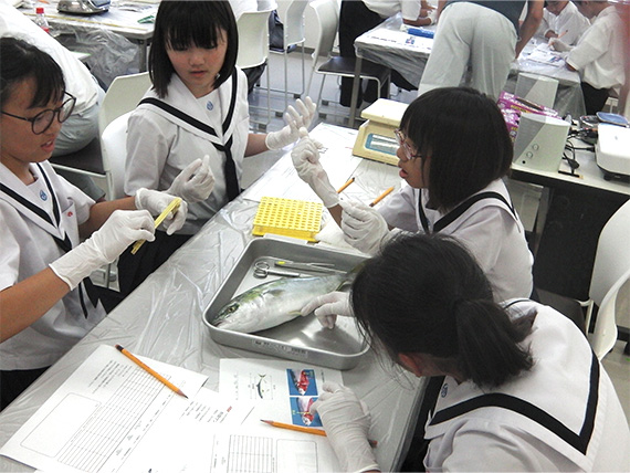 【Picture】Workplace Experience for Junior High School Students