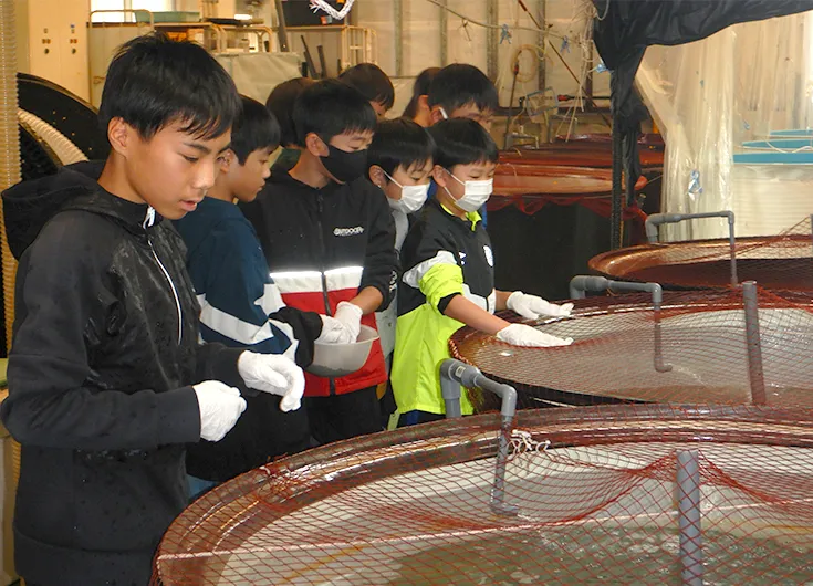 写真：魚を研究するおもしろさを体験