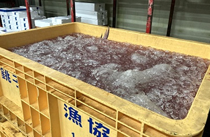 [Photo] The reusable crate for fresh fish
