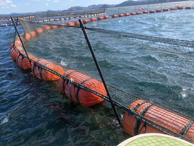 [Picture] Floats used in marine aquaculture
