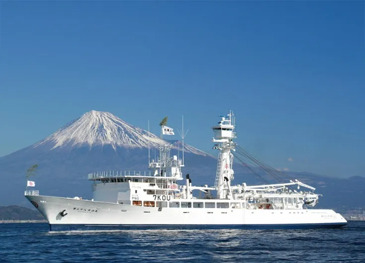 写真