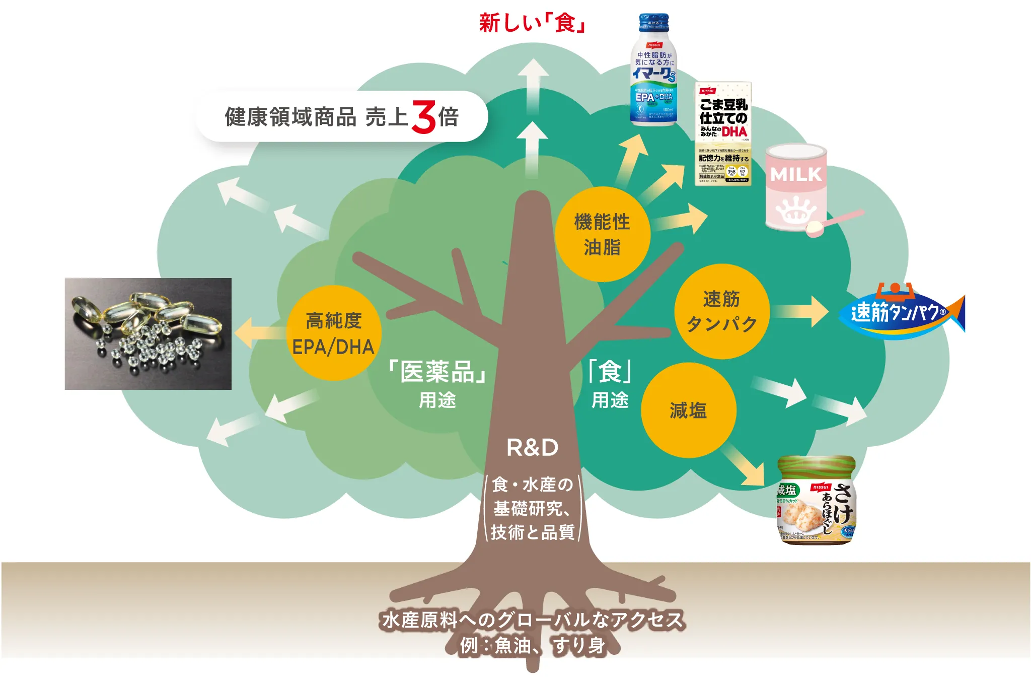 【図版】「健康領域商品」（定義）