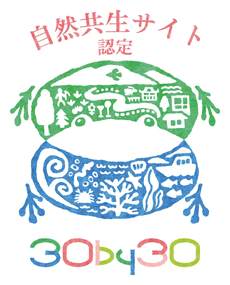 ロゴ画像