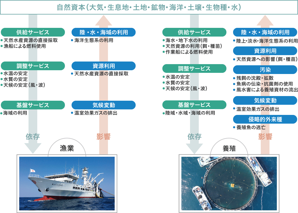 【図版】Evaluate 依存と影響を診断する